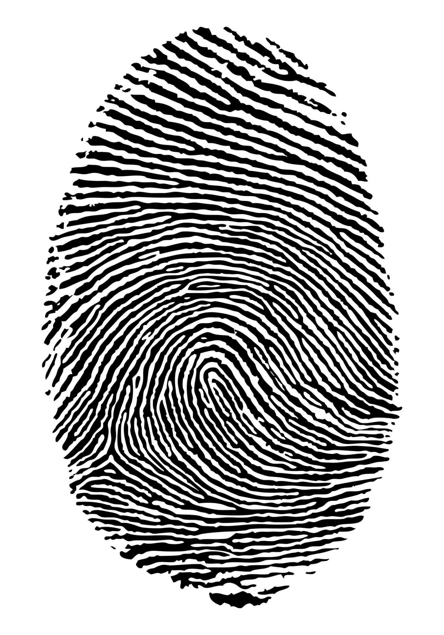 Secure fingerprint login